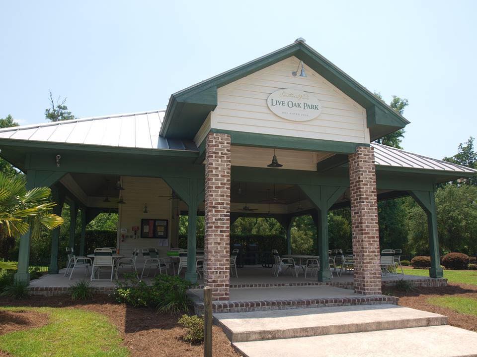 13445651_10209892175124358_8758622649109515895_n